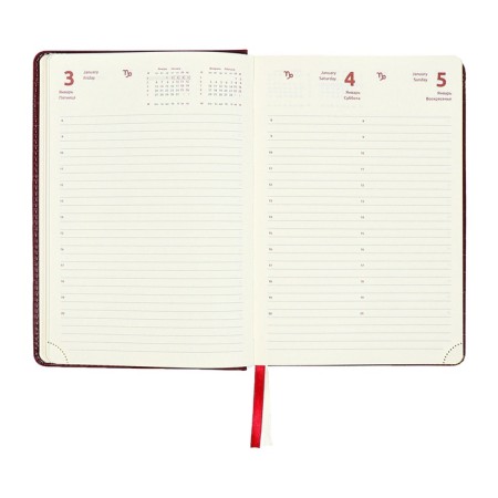 Dated diary 2024 A5 176 sheets, Devente.wild, Firmly covered with artificial leather, gold cut, lies, cream block 70 g/m2, burgundy block-12