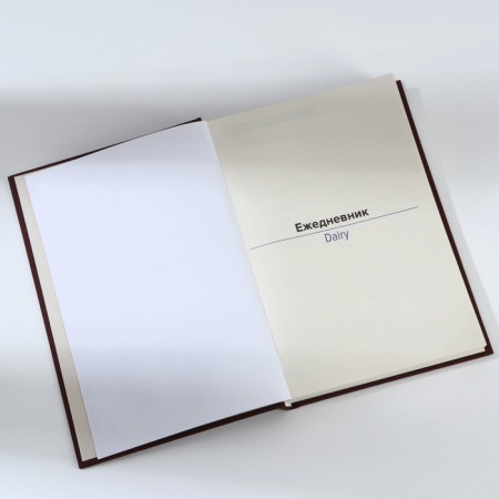 Deliciper of Leduced A5, 160 liters. Solid cover. Leatherette. Brown. Cream block-4
