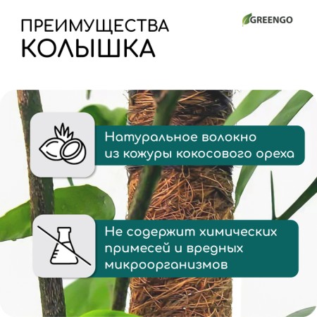Support for garter plants, h = 50 cm, d = 5 cm, coconut, Greengo-1