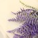 Bouquet "Nephrolepis Blechnum" 39 cm, mix