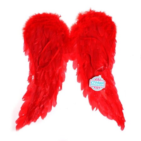 Wings "Angel", 50x50, red color-1