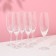 Set of glasses for champagne "Lara", 220 ml, 6 pcs