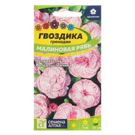 Seeds of flowers clove Grenadin "Raspberry Rice", this. Alt, c/p, 0.1 g