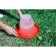 Drill for poultry, 2.5 l