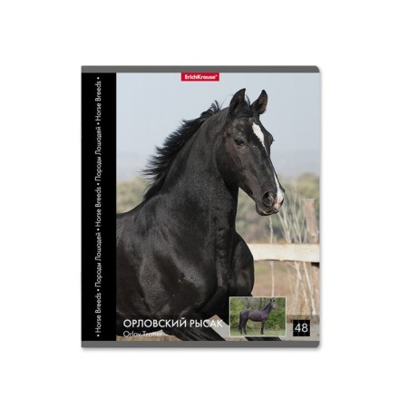 Notebook of 48 sheets in the Erichkrause "horse", cover coated cardboard, offset block 100% whiteness, mix-5
