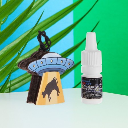 Car UFO suspension + aromatic blackcurrant 5 ml-1