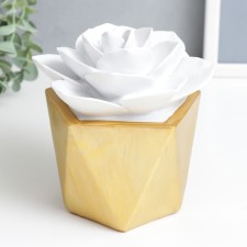 Souvenir Polystone 