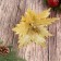 Decor "Cold Flower" 27x20 cm, gold