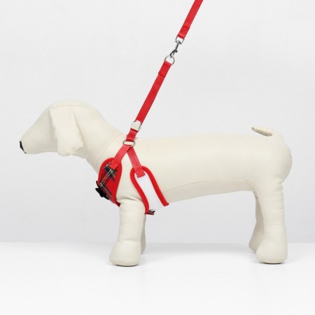 A set with a soft harness and a bantic "Cell", size M, leash 120 x 1.5 cm, og 28-46 cm-1