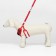 A set with a soft harness and a bantic "Cell", size M, leash 120 x 1.5 cm, og 28-46 cm