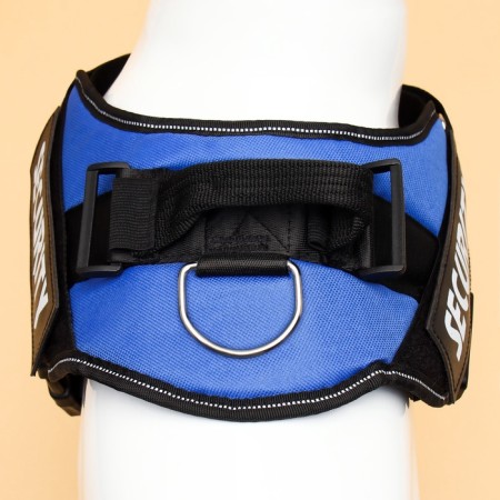 C9 sloping is soft reflective, size m, og 55-65 cm, weight 11-20 kg, blue-5