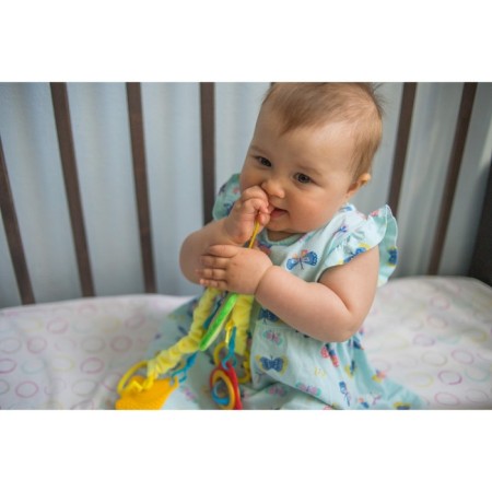 Stretching - Soft rattle on the crib/stroller "Avocado", I crush me-12