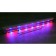 Sirius LED lamp for plants 70cm