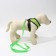 Drinking harness with a leash and reflective patch, s, ok 27, og 30-38, green