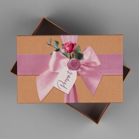 Rectangular gift box, packaging, Pressent, 22 x 14 x 8.5 cm-2