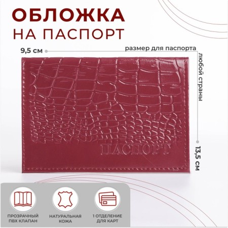 Cover for passport, lilac color
