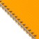 Notepad A5, 60 sheets on the crest, plastic cover, orange
