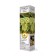 Fruit grapes "Arkady", tube, 1 pc, spring 2024