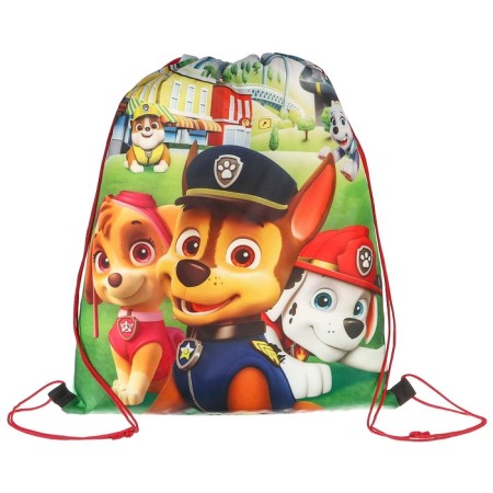 Shoe bag 420*330 mm, puppy patrol "Team"-3