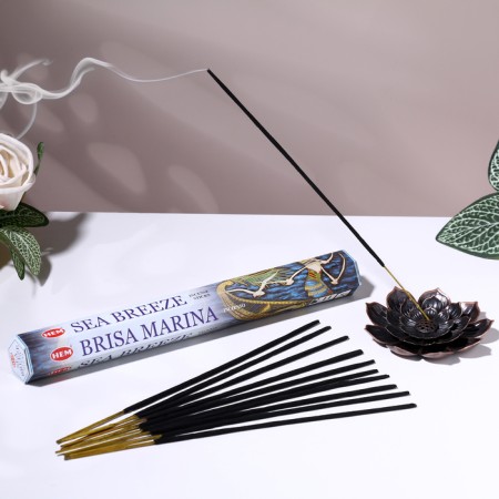 Incense hem "sea breeze. Sea breeze", 20 wands in packaging, hexagon