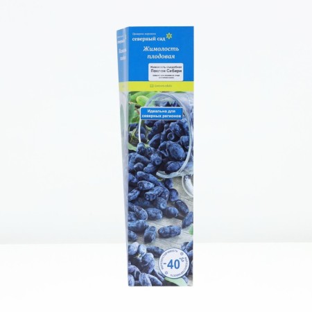 Edible honeysuckle (Northern Garden series) "Black Siberia", 1 pc, tube, spring 2024