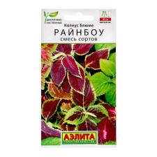 Flower seeds Koleus Bluma 