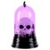 Halloween lamp, species mix