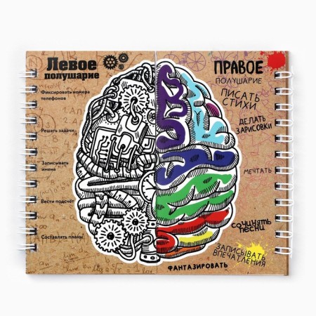 Double notebook on the crest, soft cover, size 15x12cm, 48 liters “left, right”-6