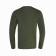 Longslit male, Khaki color, size 48