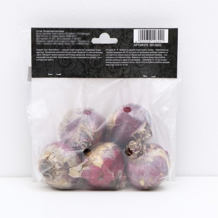 Hyacinth East AIDA, rr 14/15, 4 pcs, autumn 2024-3