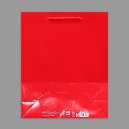 Gift laminated package, packaging, red, m 24 x 29 x 9 cm-9