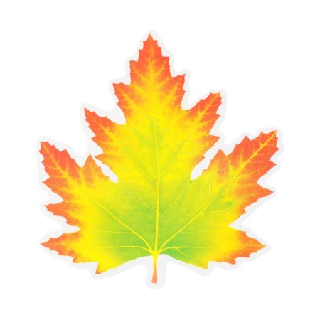 Decoration on adhesive tape "Maple leaf" Orange, green, 18x18 cm