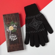 Male gloves in the gift box 