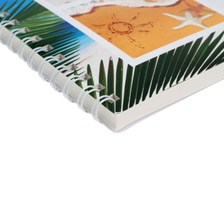 Album for drawing A4, 60 sheets on the crest "Beach", cover covering cardboard, block 100 g/m2-1