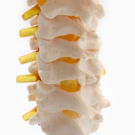 Layout "spine. Cervical section" 15*14cm-4