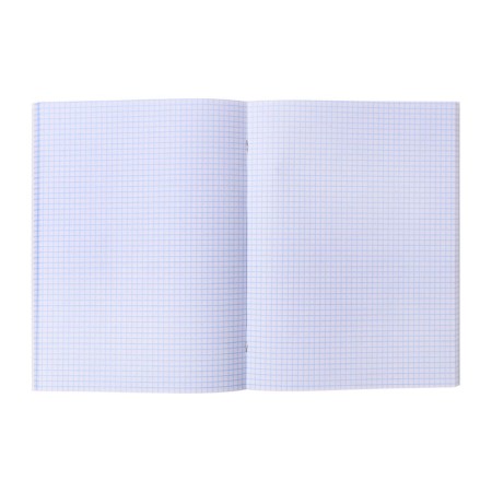 A4 notebook 48 sheets in the Calligrata Cede cage, covered cardboard, glossy lamination, offset block-1
