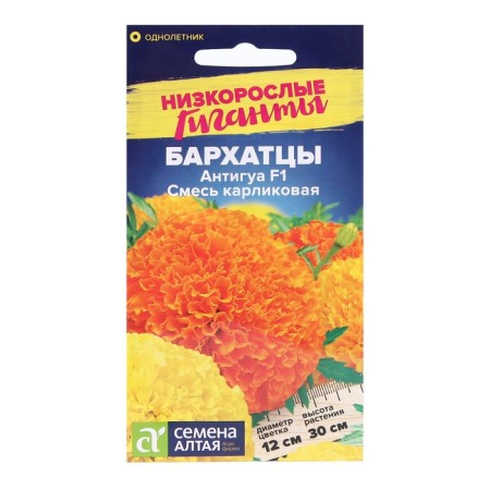 Flower seeds of velvet antigua, a dwarf mixture, sed. Alt, c/n, 5 pcs