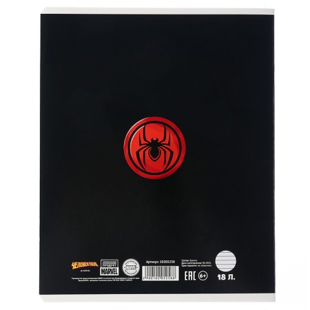 Notebook in a line of 18 sheets, 5 types of mix, cover coated cardboard, spider-man-3