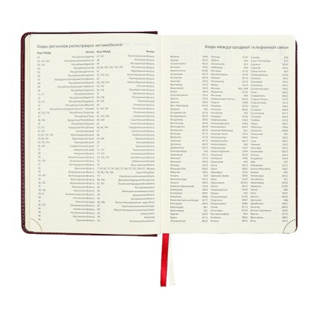Dated diary 2024 A5 176 sheets, Devente.wild, Firmly covered with artificial leather, gold cut, lies, cream block 70 g/m2, burgundy block-11