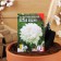 Flower seeds Astra Pionovid, white, 0, 2 g