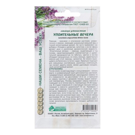 Lavender seeds are narrow -leaved "Disputable evenings", 5 pcs-1