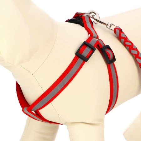 Set "braid", fluorescent, leash 115 x 1 cm, og 32-48 x 1.5 cm, red-3