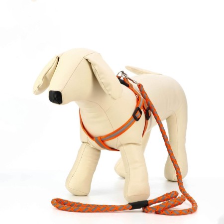 Set "braid", fluorescent, leash 115 x 1 cm, og 32-48 x 1.5 cm, orange-1