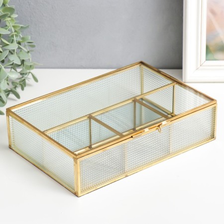 Organizer Casket Glass for trifles "Squares" 6x16.5x23 cm