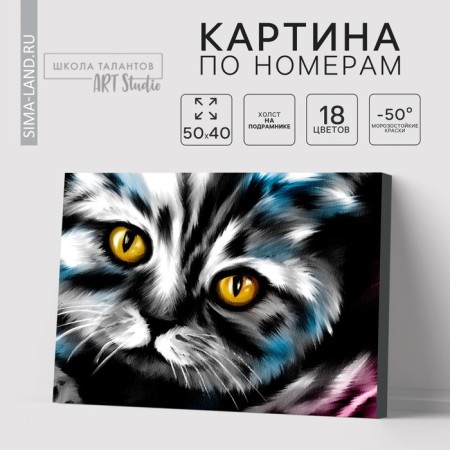 Picture on the numbers on canvas with the subframe "Kotik", 40 x 50 cm