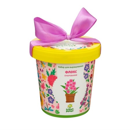 Set for creativity "Pot" Flox Charm "