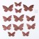 Set for decorating "butterflies" with patterns, set 12 pcs, color pink gold