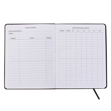 Universal diary for grade 1-11 I Think Too Much, integral cover, artificial leather, silkography, liesse, 80 g/m2-2