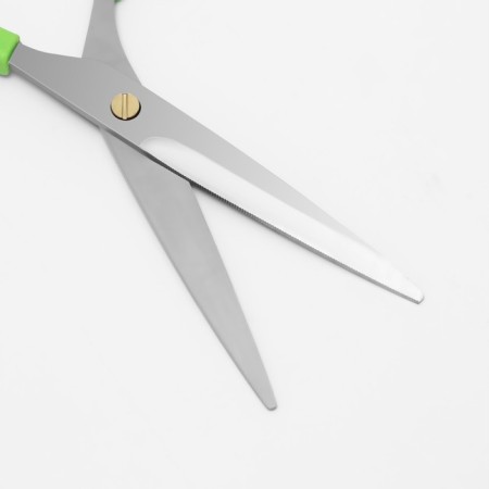 Hairdressers scissors with emphasis, blade - 7 cm, light/silver color-3