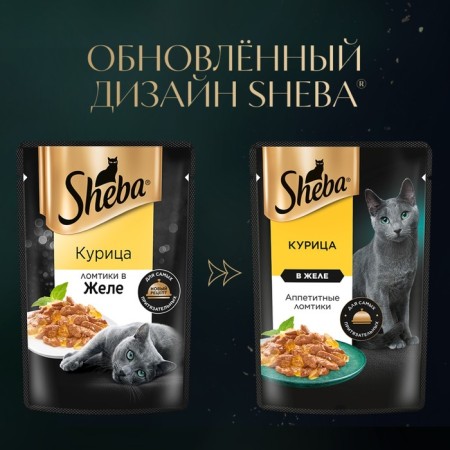 SHEBA wet food for cats, chicken in jelly, spider, 75-1
